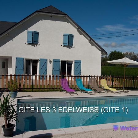 Les 3 Edelweiss - Gite 1 Ou Gite 2 Arette Exteriér fotografie