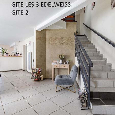 Les 3 Edelweiss - Gite 1 Ou Gite 2 Arette Exteriér fotografie