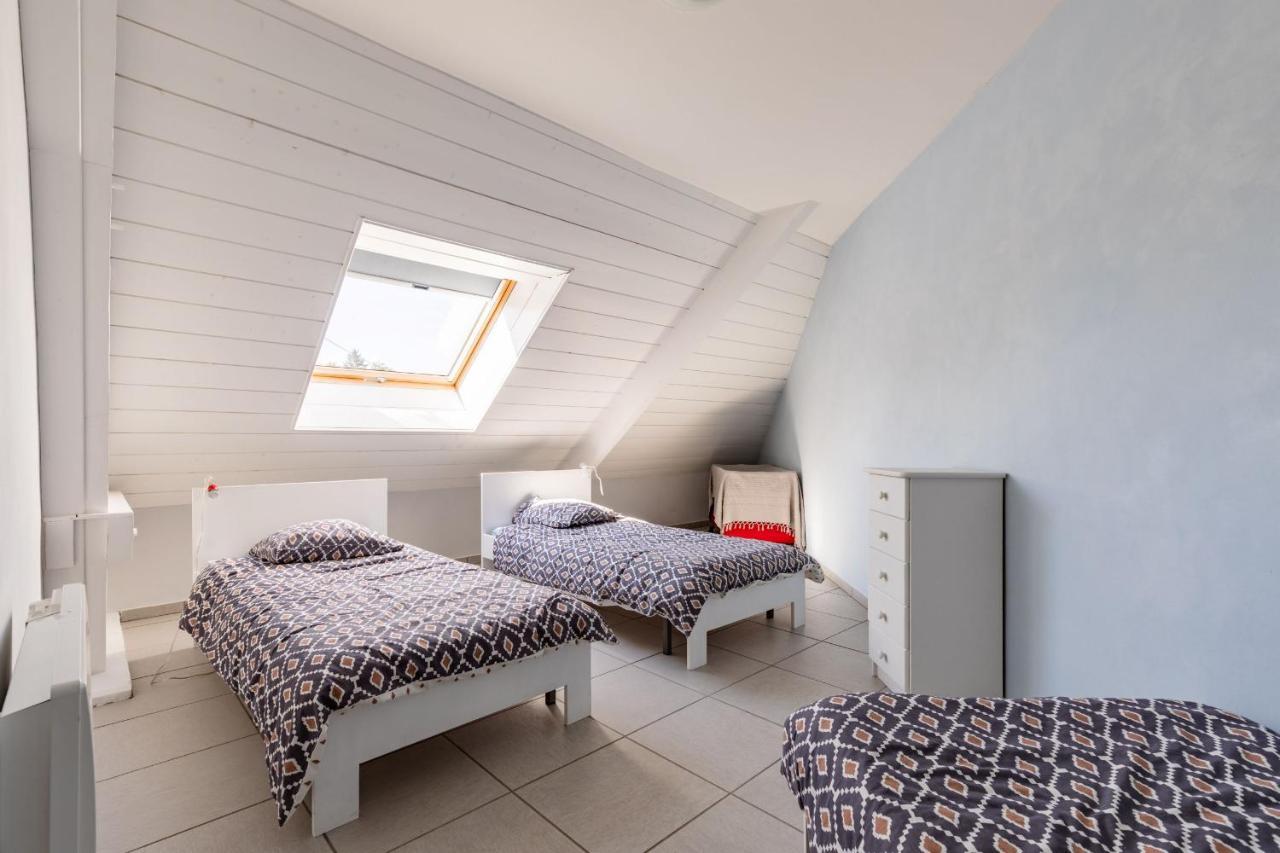 Les 3 Edelweiss - Gite 1 Ou Gite 2 Arette Exteriér fotografie