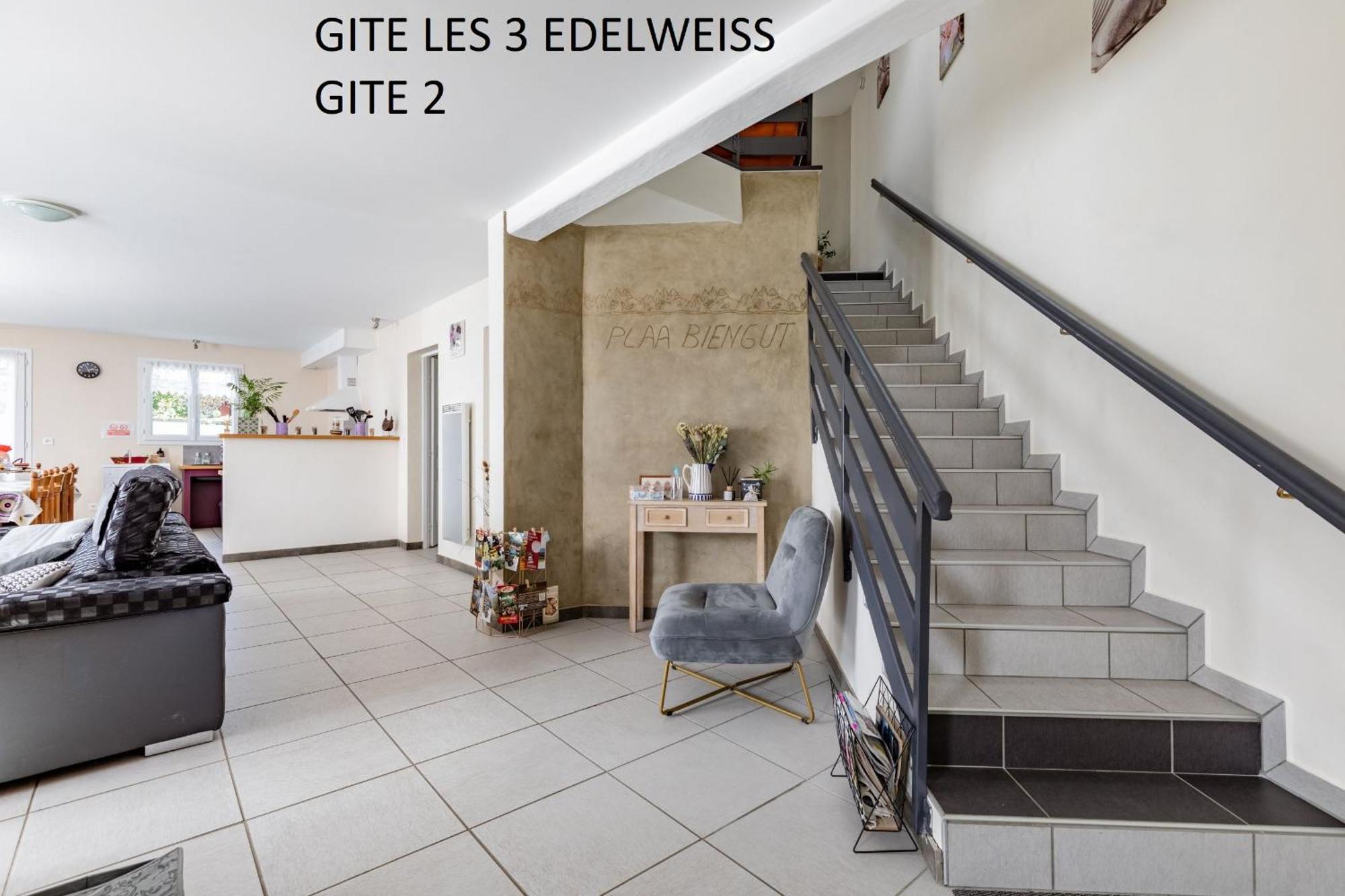 Les 3 Edelweiss - Gite 1 Ou Gite 2 Arette Exteriér fotografie